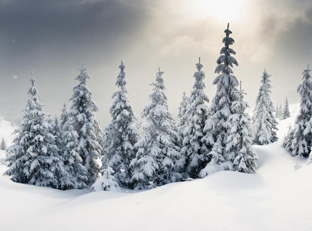 Adonis Le Chastellan Hotel Valberg Bagian luar foto